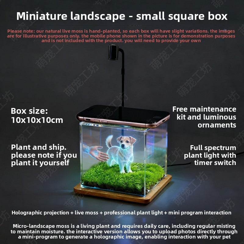 Pet projection box