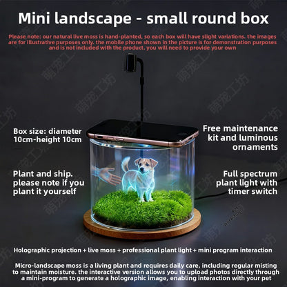 Pet projection box