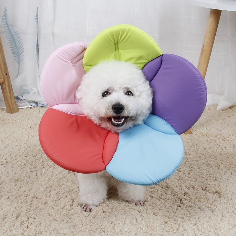 Pet Protective Cover