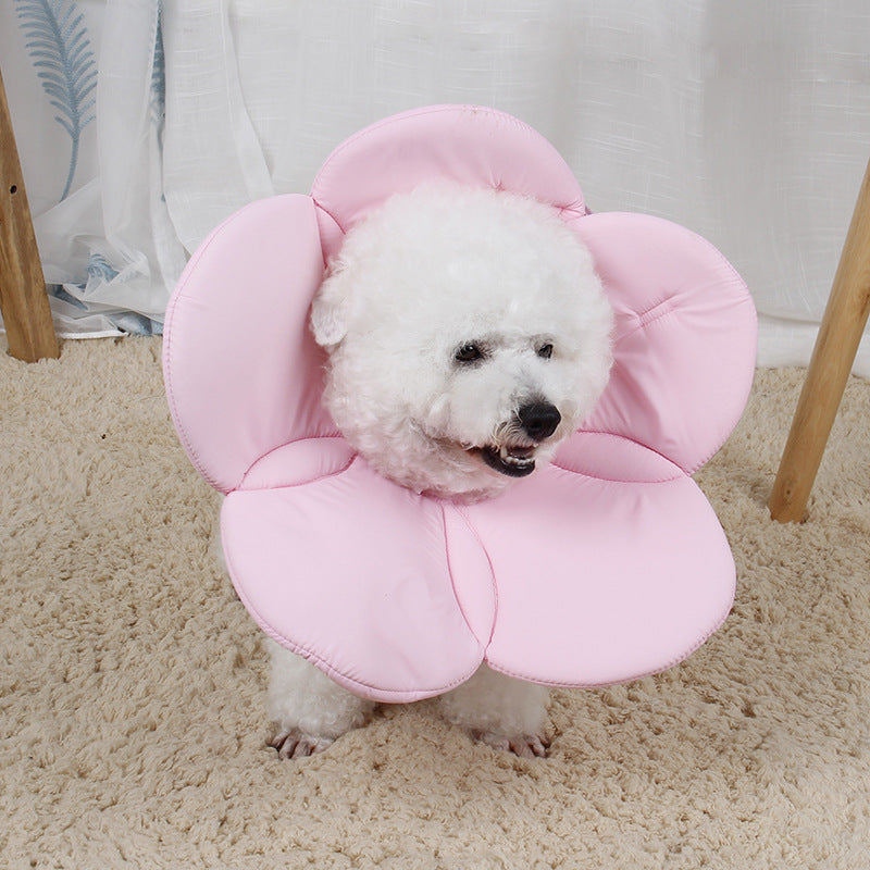 Pet Protective Cover