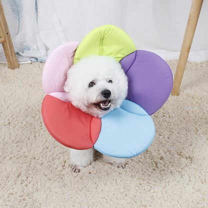 Pet Protective Cover