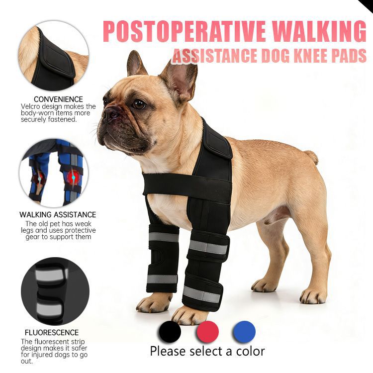 Pet Protective Sleeve