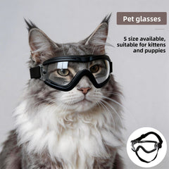 Black Frame Transparent Lens