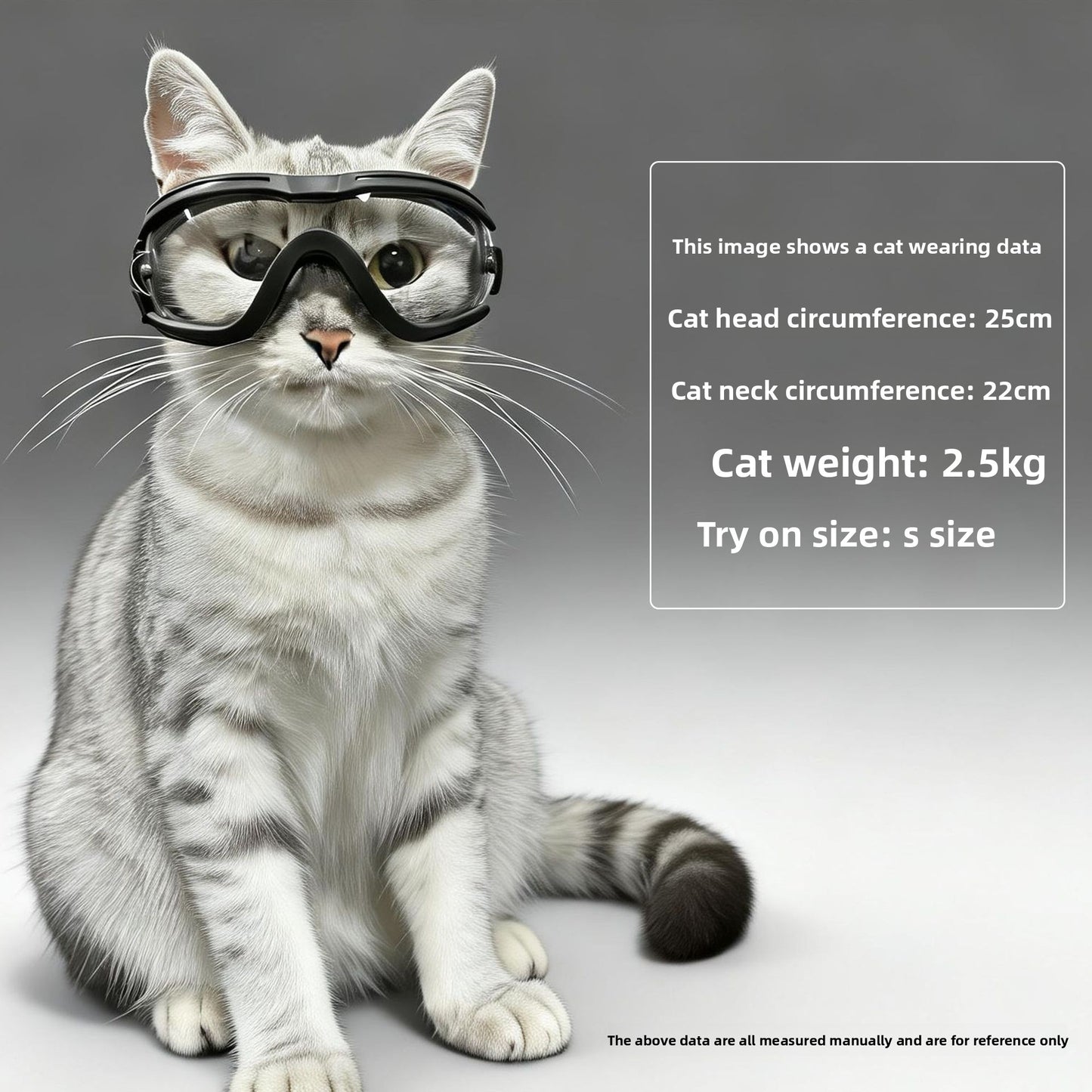 Pet Protective Sunglasses