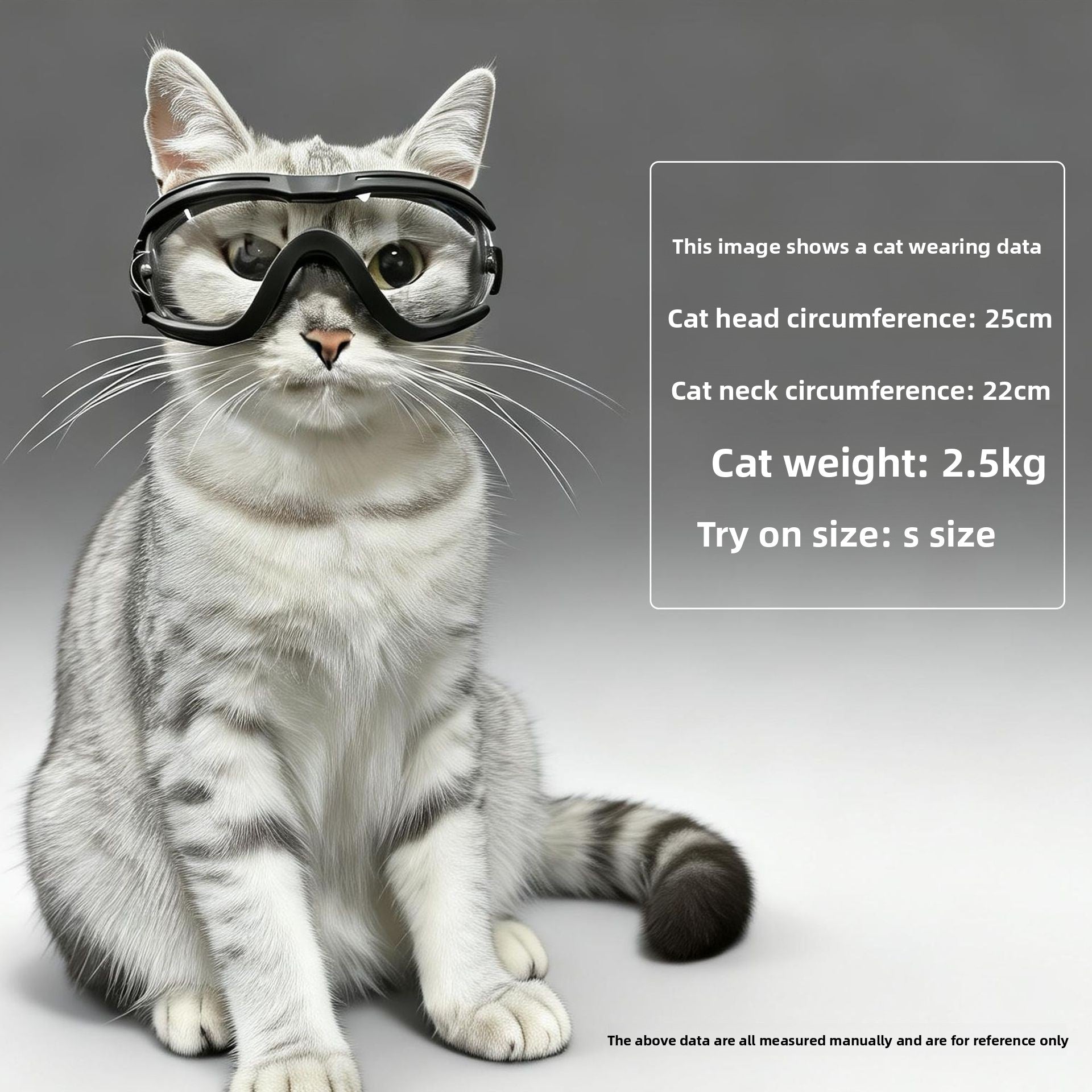 Pet Protective Sunglasses