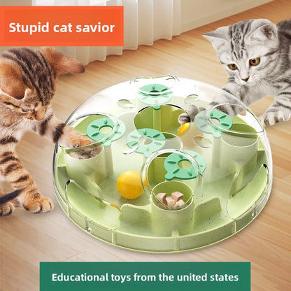 Pet puzzle toy