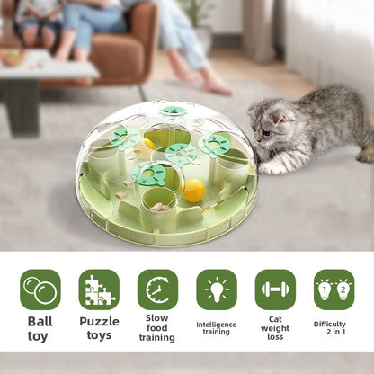 Pet puzzle toy