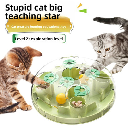 Pet puzzle toy