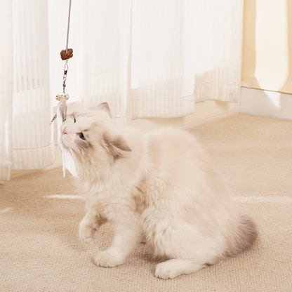 Pet Puzzle Toy