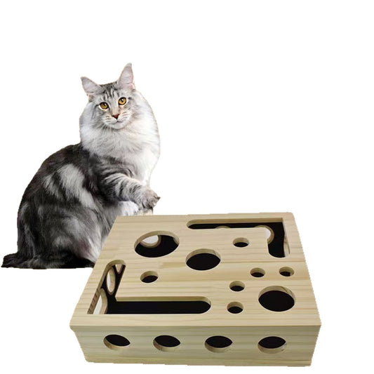 Pet Puzzle Toy