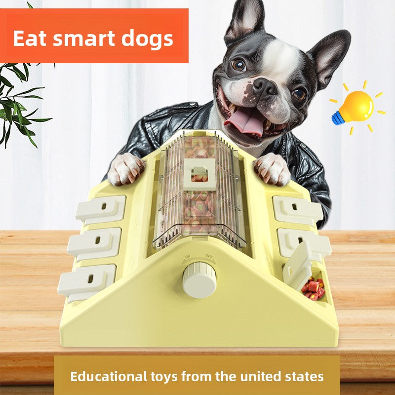 Pet Puzzle Toy