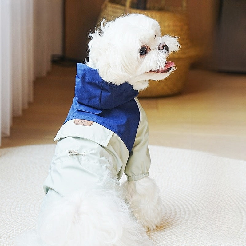 pet raincoat