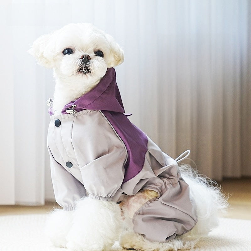 pet raincoat