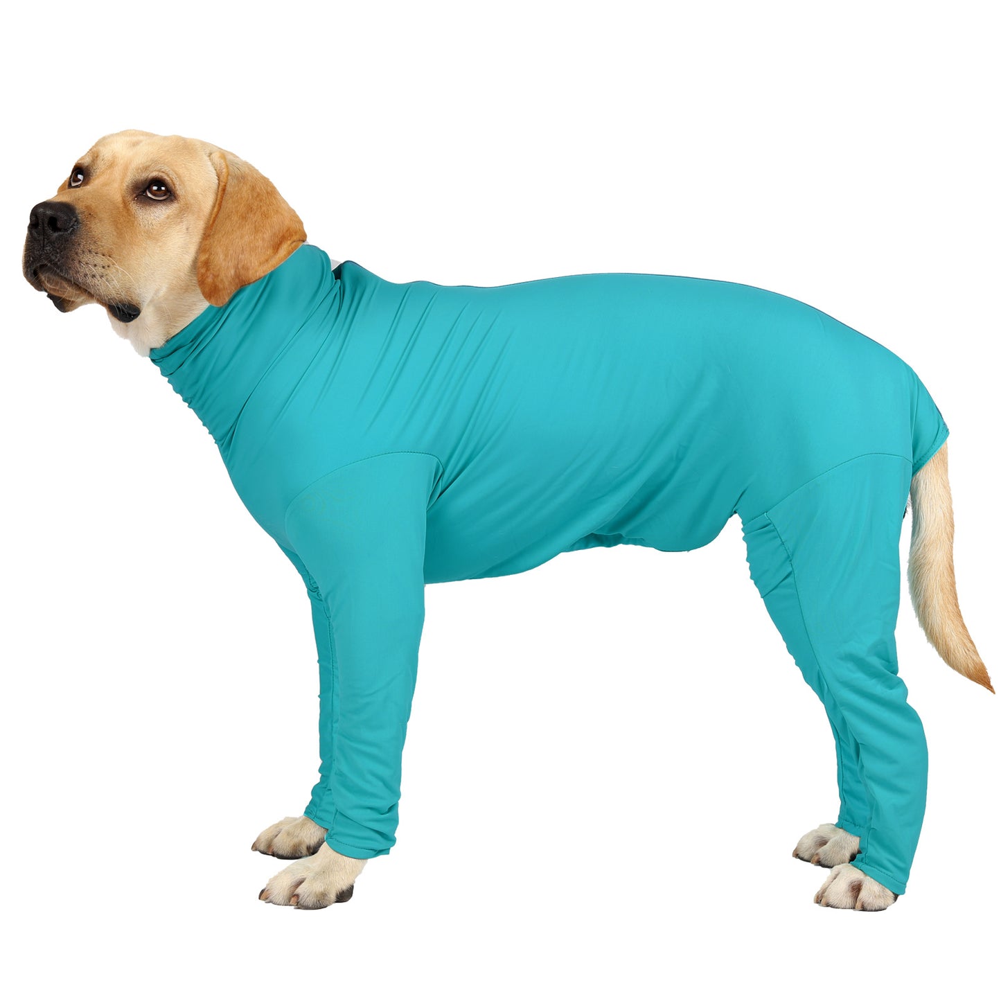 Pet Recovery Suit Post Surgery Bodysuit
