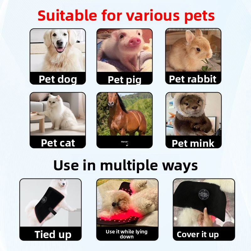 Pet Red Light Physiotherapy Instrument