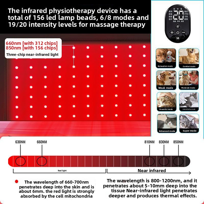 Pet Red Light Physiotherapy Instrument