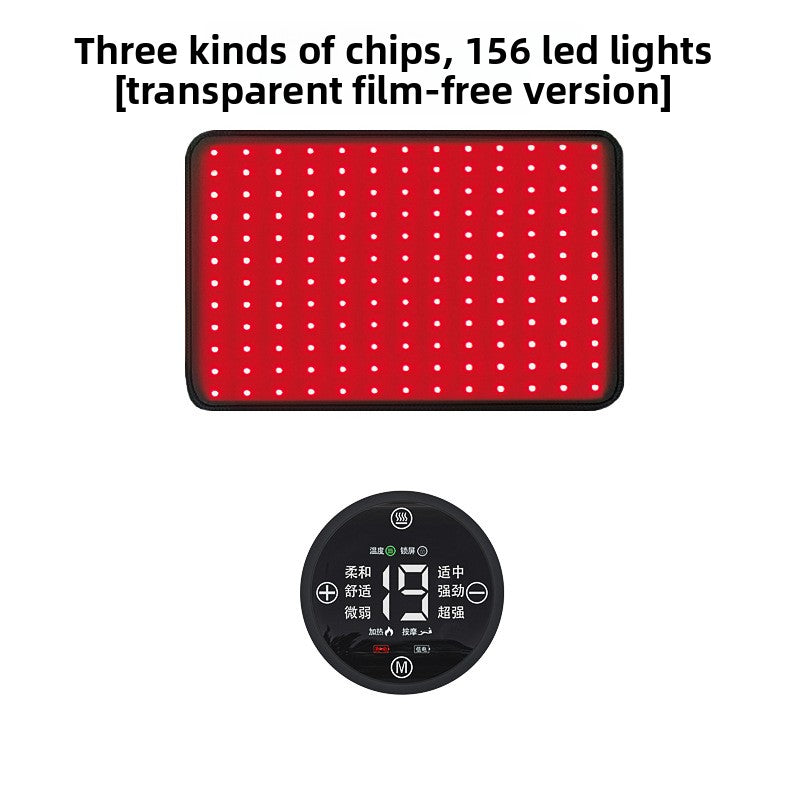 Pet Red Light Physiotherapy Instrument