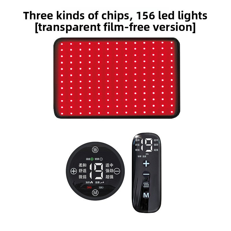 Pet Red Light Physiotherapy Instrument