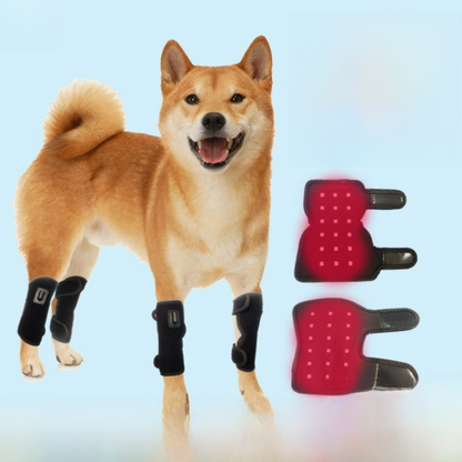 Pet Red Light Therapy Pad for Muscle Pain Relief