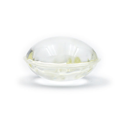 Pet Repellent Collar