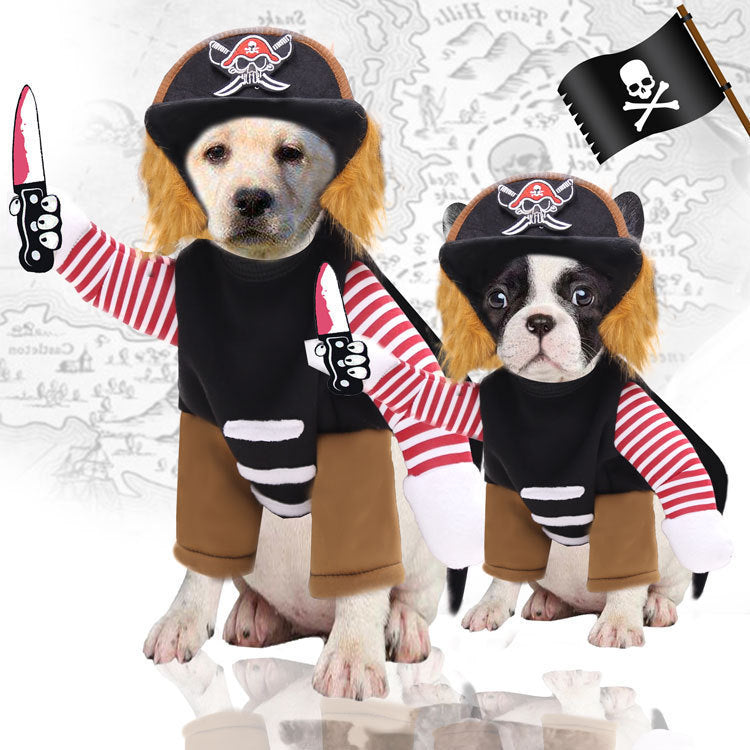 Pet Riding Transformation Costume