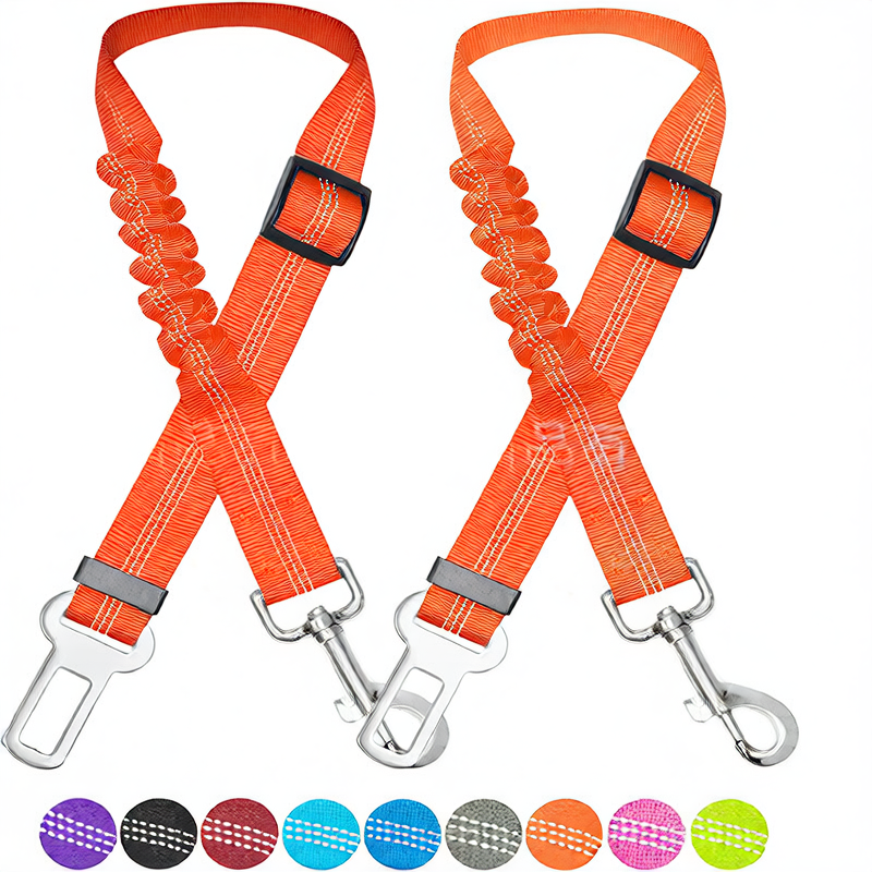 pet safety leash
