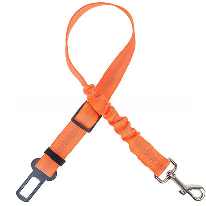 pet safety leash