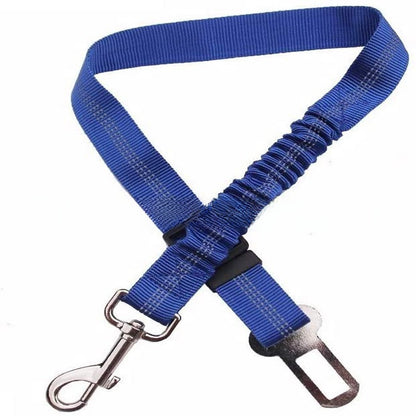 pet safety leash