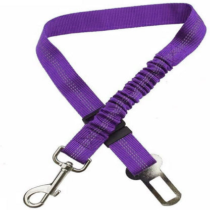 pet safety leash