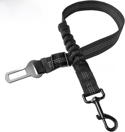 pet safety leash
