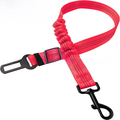 pet safety leash