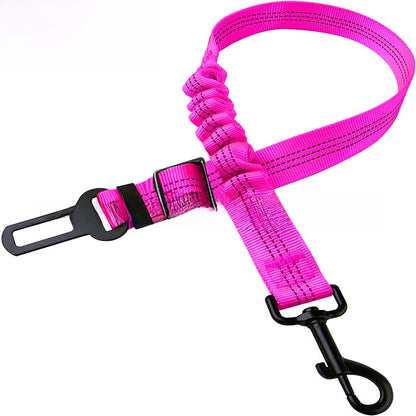 pet safety leash