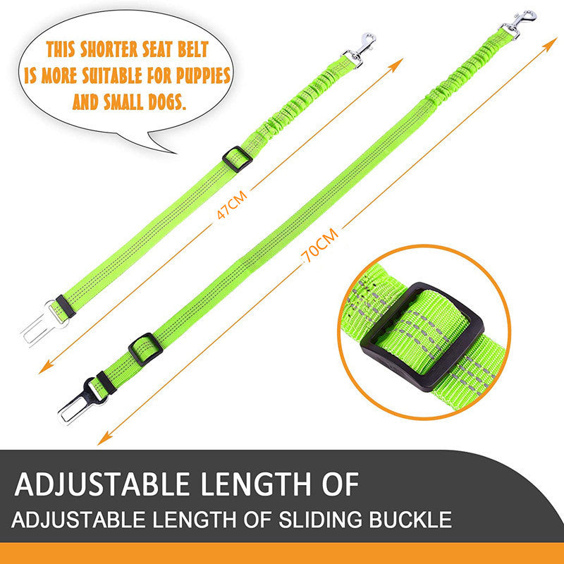 pet safety leash