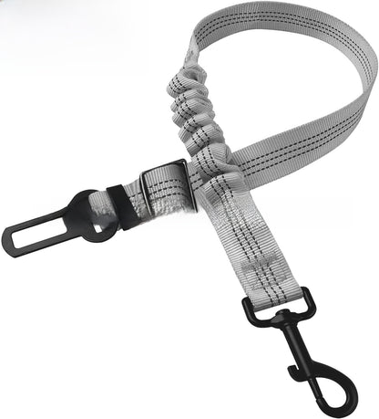 pet safety leash