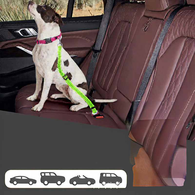 pet safety leash