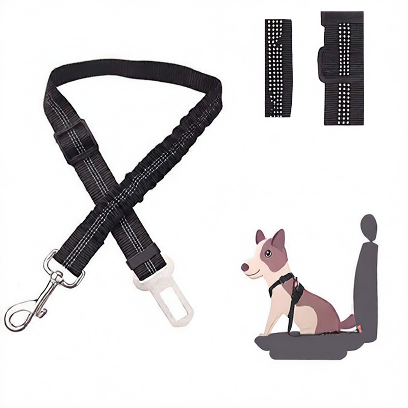 pet safety leash