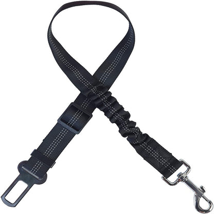 pet safety leash