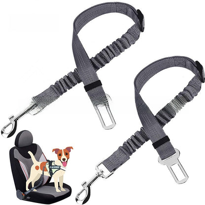 pet safety leash