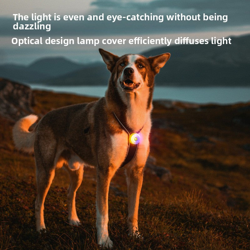 Pet Safety Light