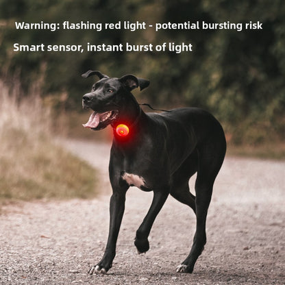 Pet Safety Light