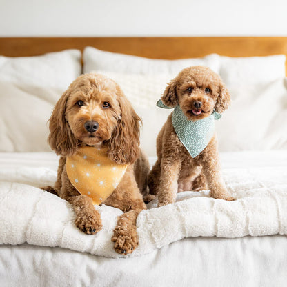 pet scarf saliva towel