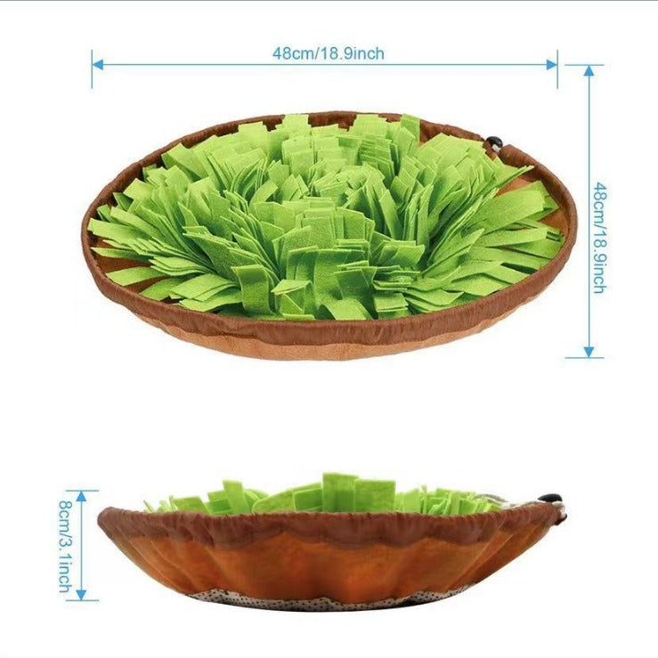 Pet scenting mat