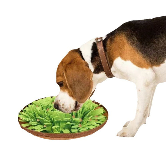 Pet scenting mat