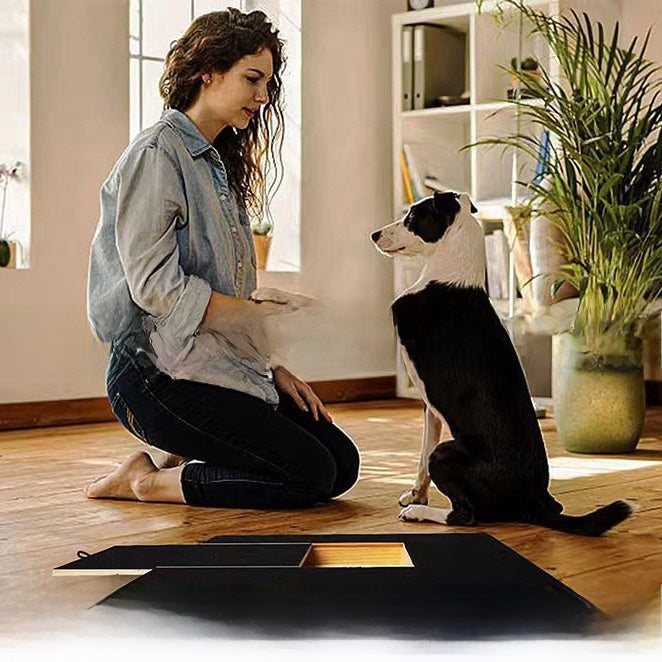 Pet Scratch Board