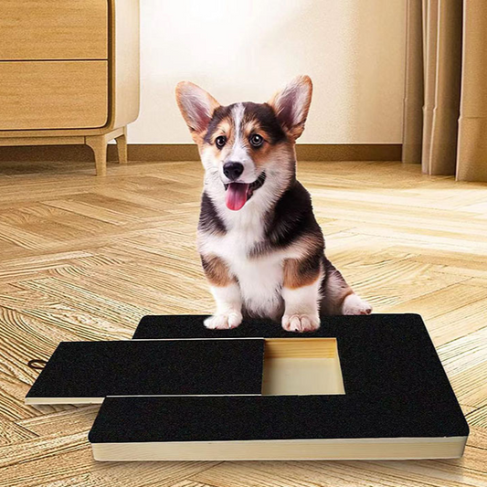 Pet Scratch Board with Pull-out Sandpaper and Food Box