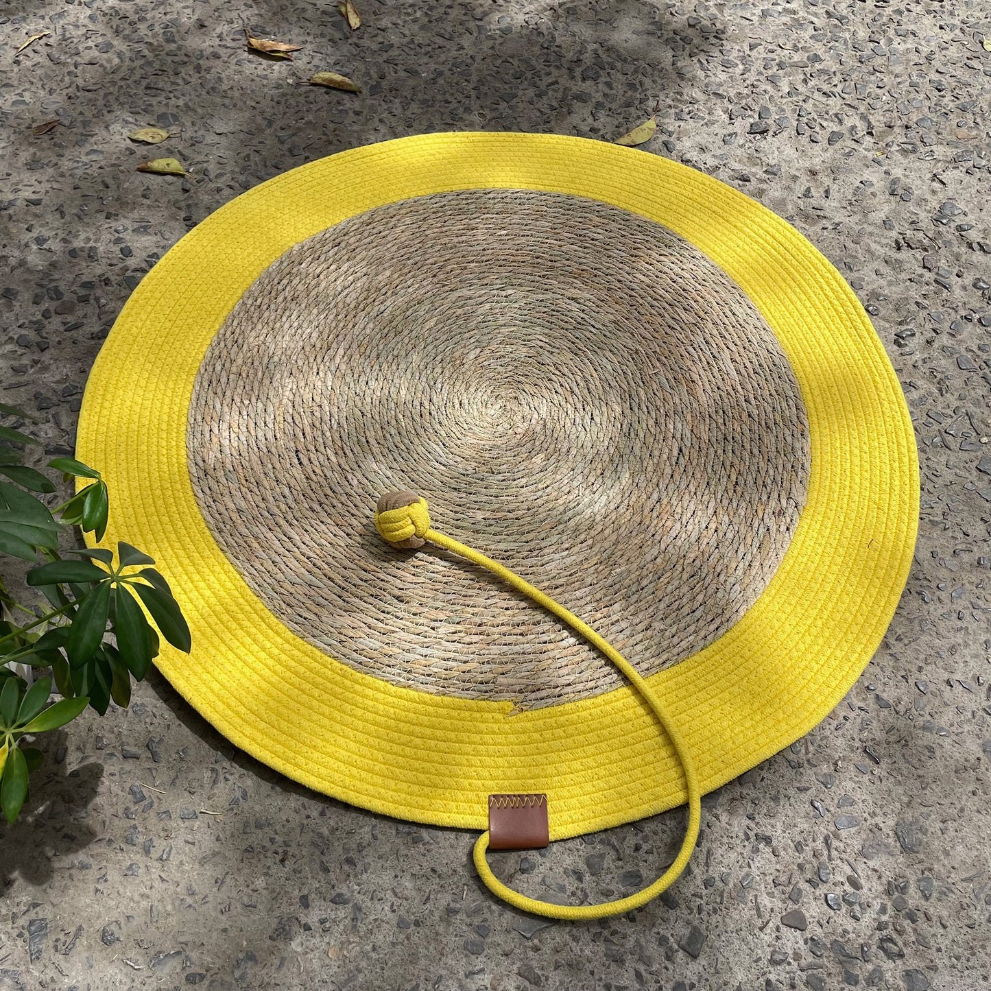 Pet Scratch Mat