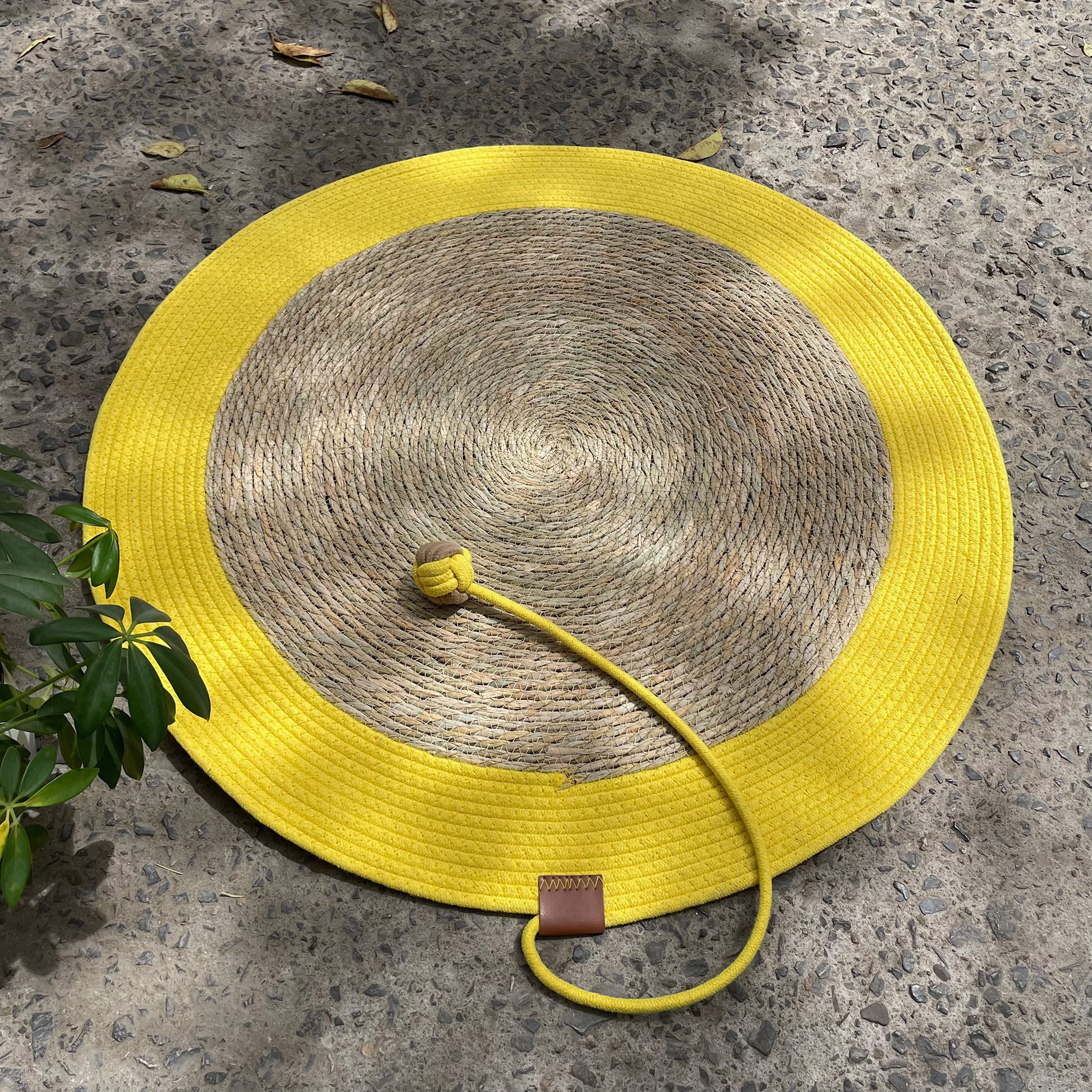 Pet Scratch Mat