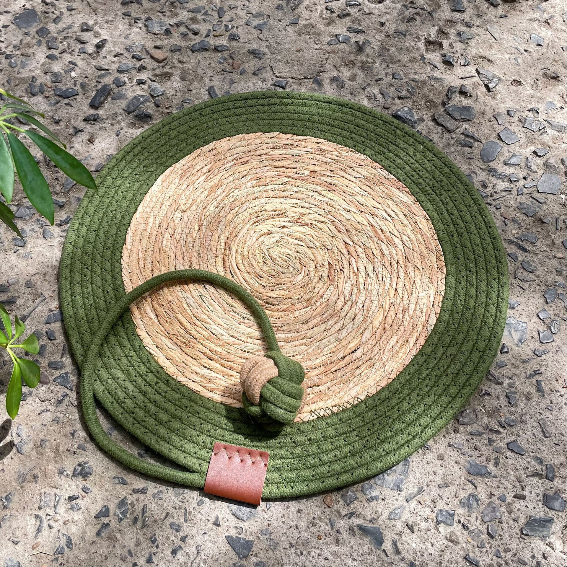 Pet Scratch Mat