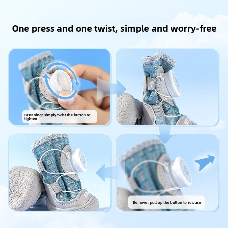 pet shoes