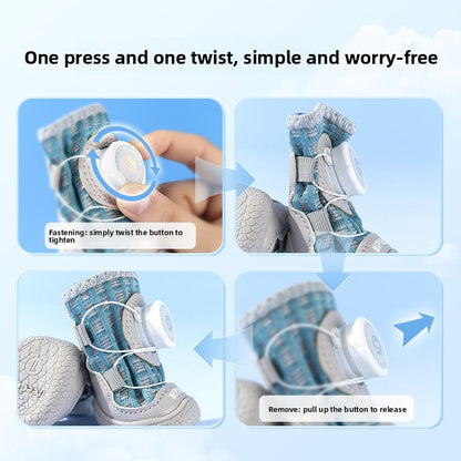 pet shoes